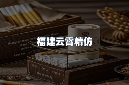 福建云霄精仿